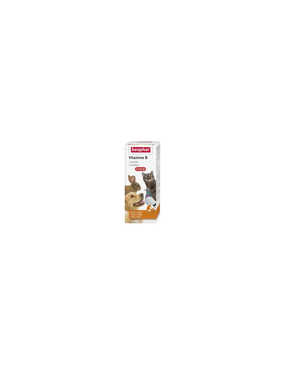 0005129_beapher-vitamin-b-50ml_300