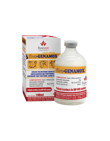 0004360_five-genamox_300
