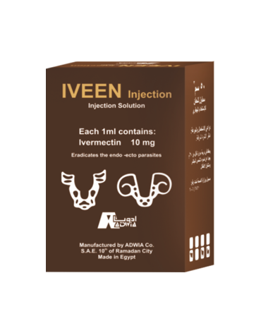0004620_iveen_300