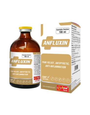 0004626_anfluxin-100ml_300