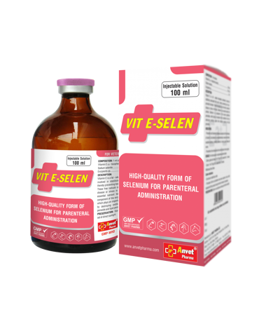 0004627_vit-e-selen-100ml_300