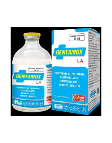 0004629_gentamox-la-100ml_300