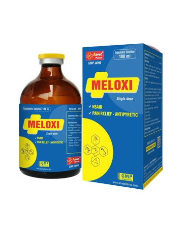 0004632_meloxi-100ml_300