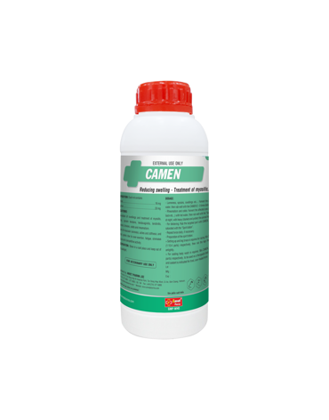 0004636_camen-1ltr_300