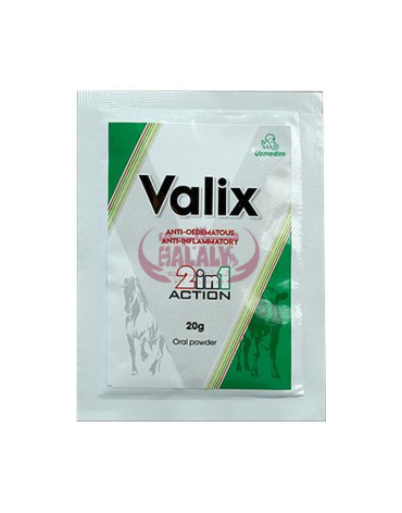 0004669_valix-20gsachet