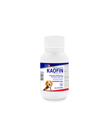 0005378_kaofin-60ml_300